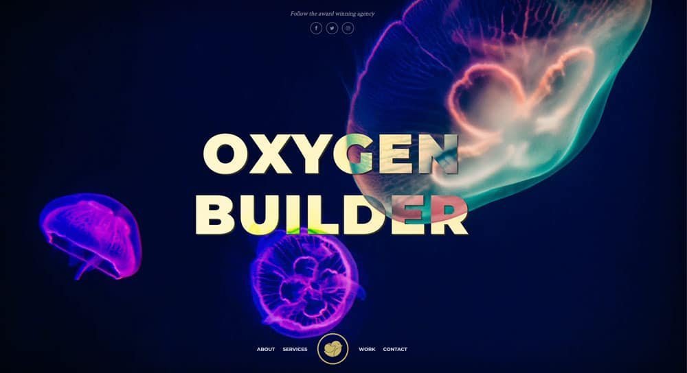 OxyNinja Powerful Tools & Design Sets For Oxygen Builder.jpg