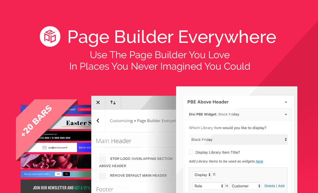 Divi Page Builder Everywhere.png