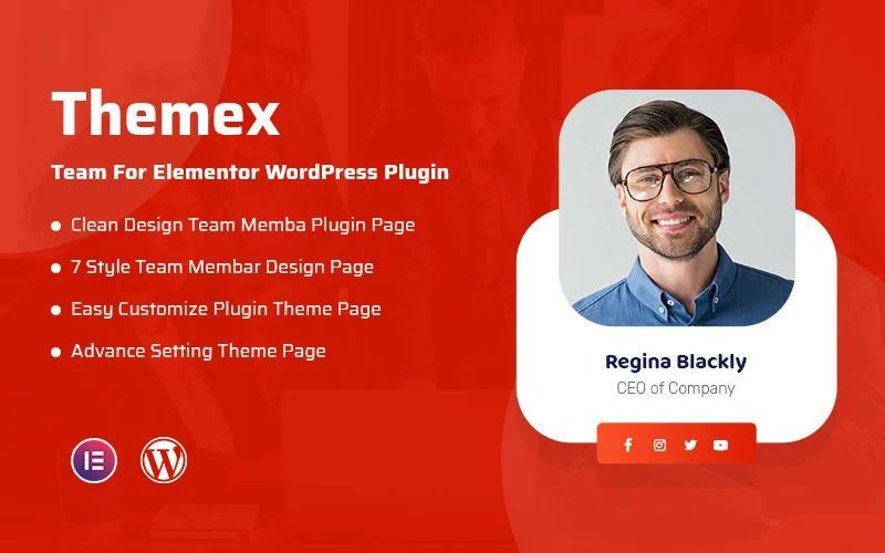 Themex Team For Elementor WordPress Plugin.jpg