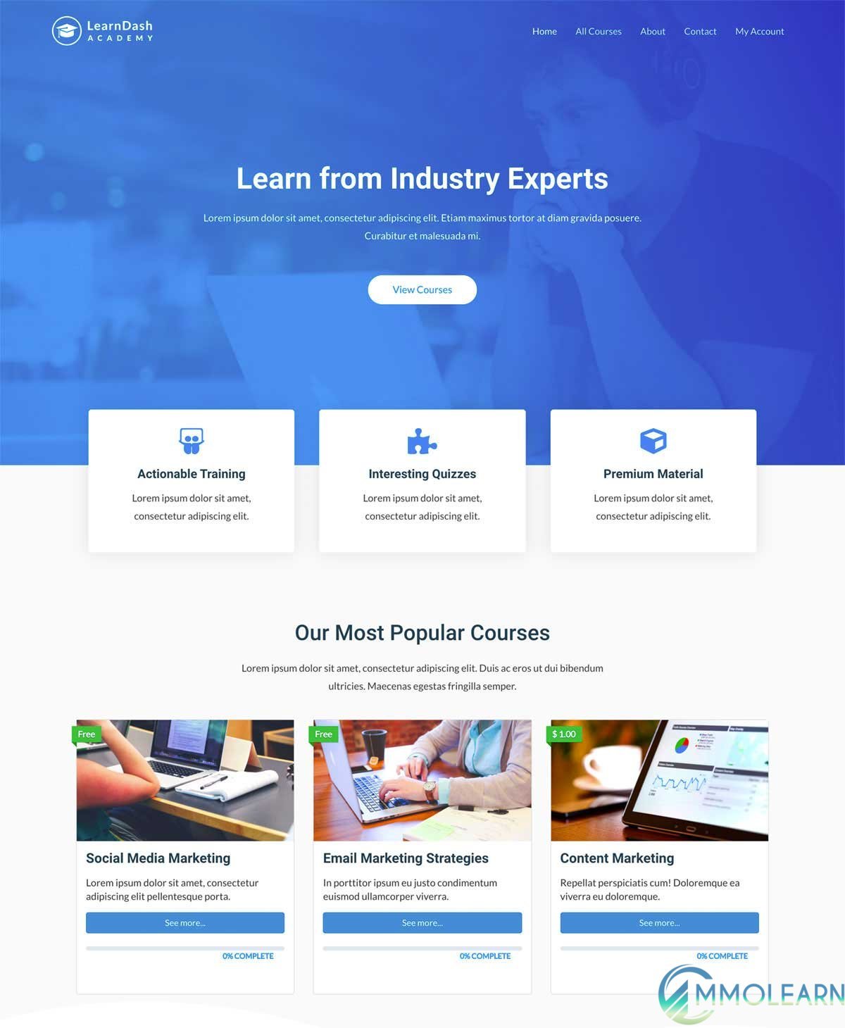 learndash-academy-astra-template-elementor.jpg