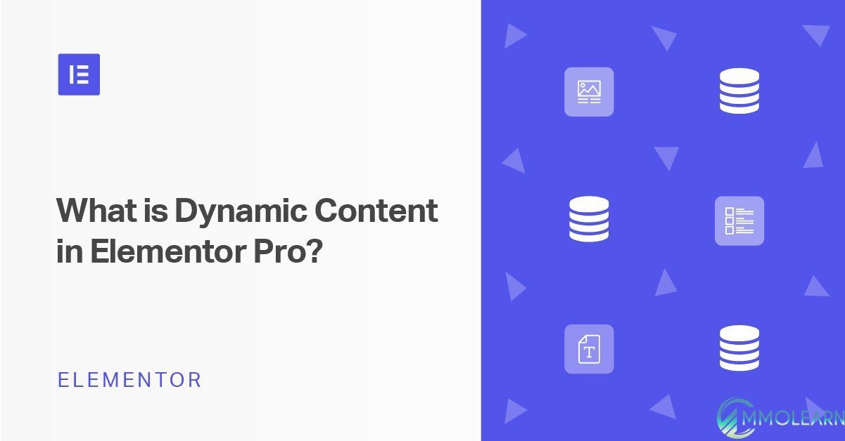 Dynamic Content for Elementor.jpg