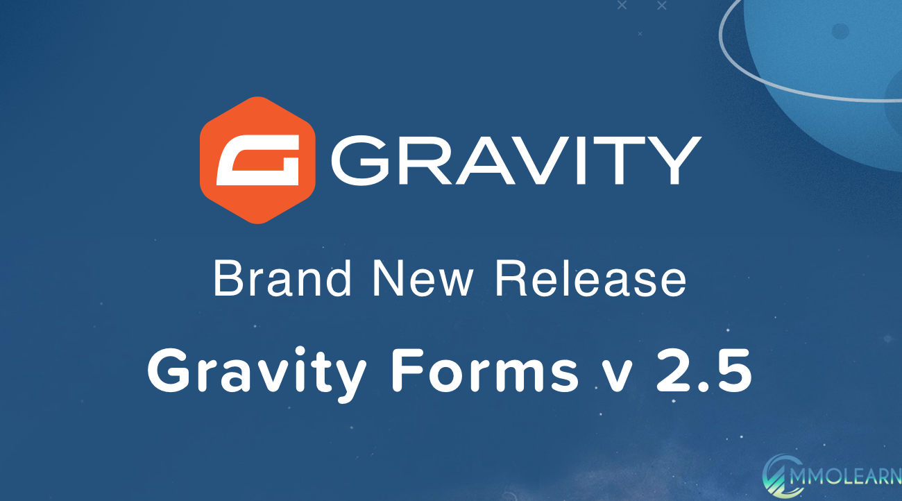 Gravity Forms Core File.png