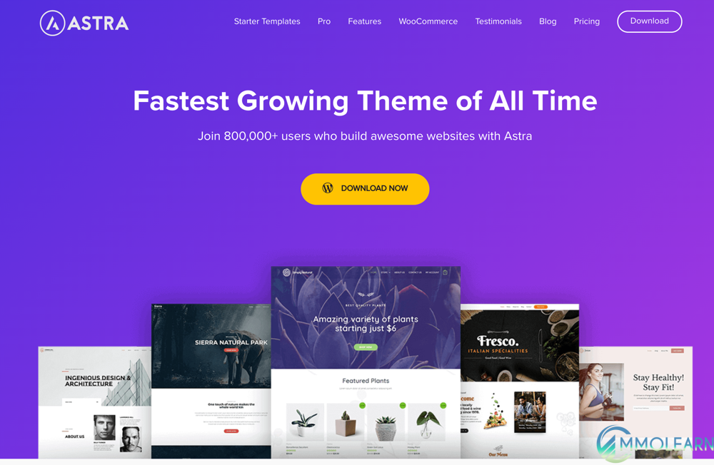 Astra WordPress Theme.png