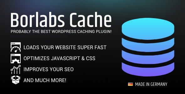 Borlabs Cache WordPress Caching Plugin.png