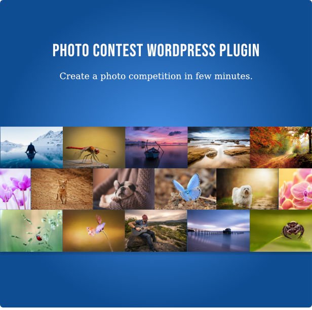 Photo Contest WordPress Plugin.jpg