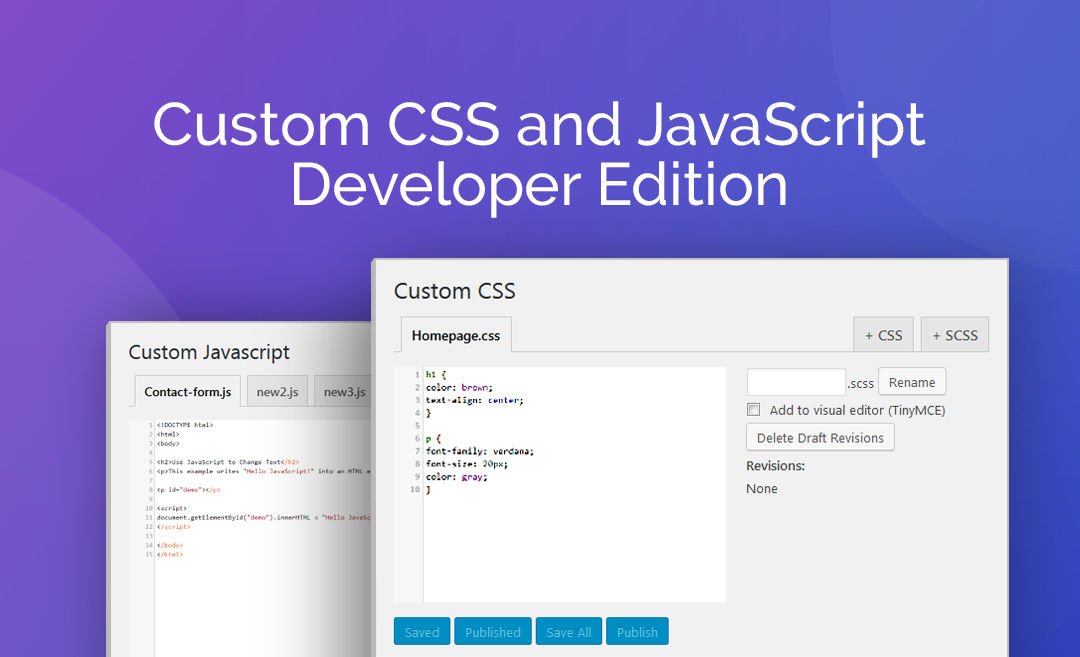 Custom CSS and JavaScript Developer Edition.jpg