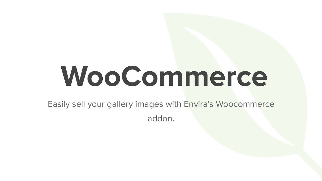 Envira Gallery WooCommerce Addon.jpg
