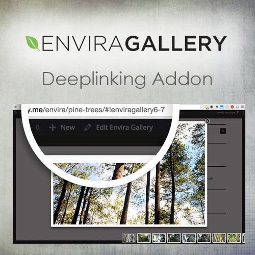 Envira Gallery Deeplinking Addon.jpg