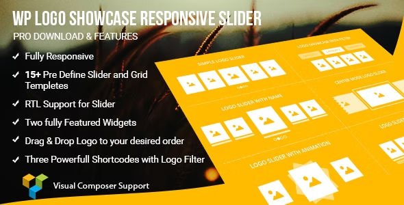 WP Logo Showcase Responsive Slider.jpg
