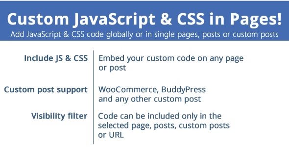 Custom JavaScript & CSS in Pages.jpg