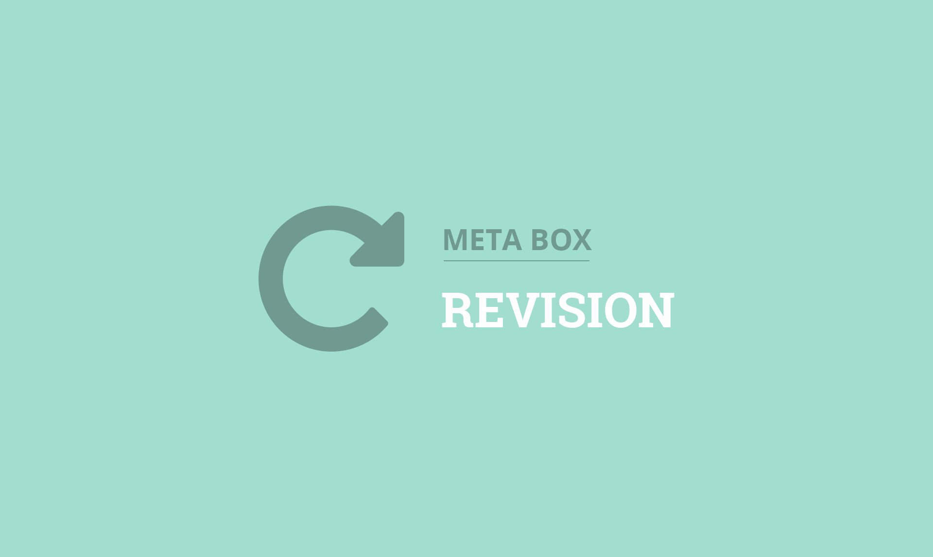 Meta Box Revision.jpg