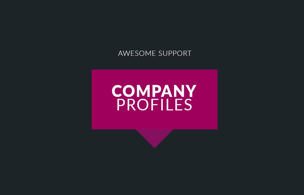 awesome support company profiles.jpg