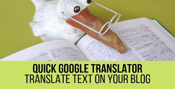 Quick Google Translator Plugin for WordPress.jpg