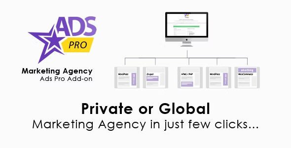 ADS PRO - WordPress Marketing Agency Add-on.jpg