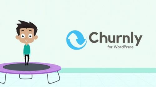 Churnly Automatically Reduce Your Customer Churn.jpg