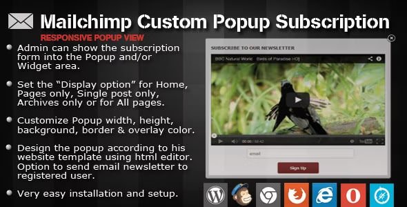 Mailchimp Custom Popup Subscription for wordpress.jpg