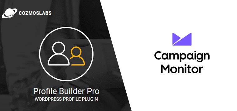 Profile Builder Campaign Monitor.jpg