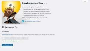 Banhammer Pro - Monitor Traffic and Ban Unwanted Visitors.jpg