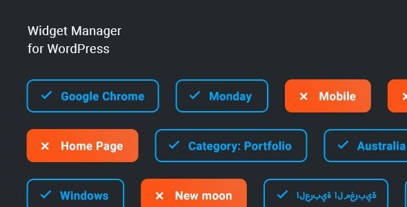 Widget Manager - WordPress widgets management system.jpg