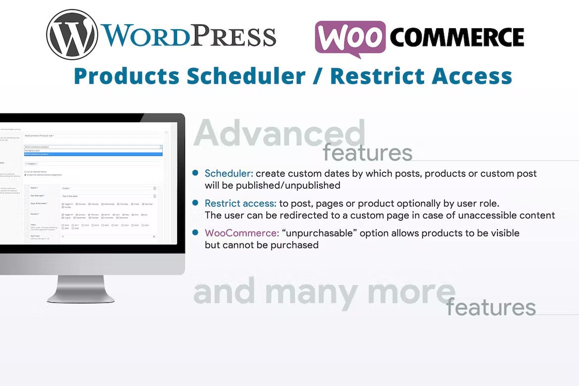 WordPress Posts & WooCommerce Products Scheduler  Restrict Access.jpg