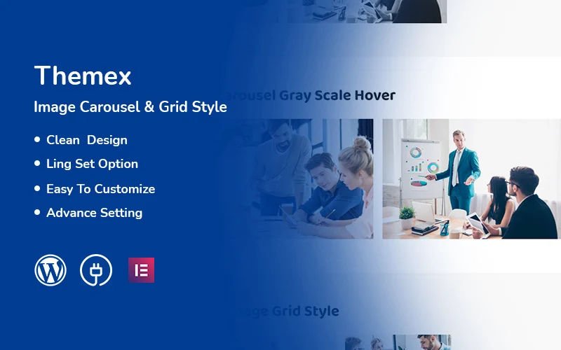 Themex - Image Carousel & Grid Style Responsive Elementor WordPress Plugin.jpg