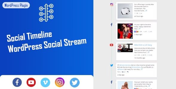 Social Timeline - WordPress Social Stream  11.jpg