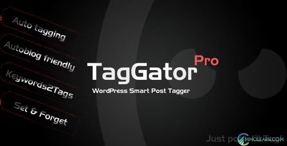TagGator Pro WordPress Auto Tagging Plugin.jpg