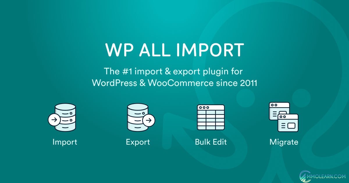 WP All Import Multilingual.jpg