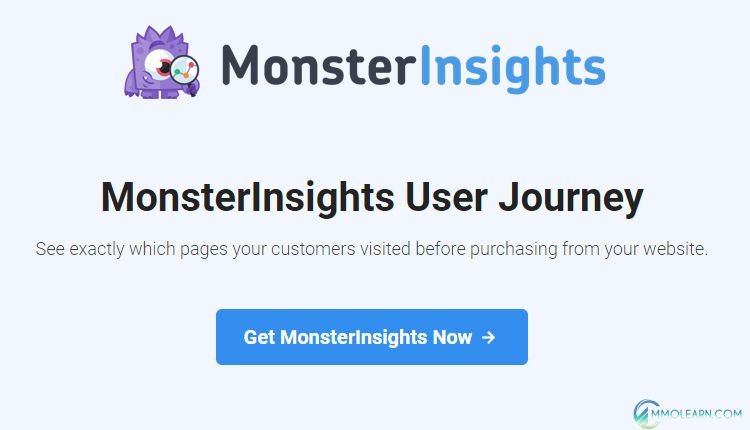 MonsterInsights User Journey.jpg