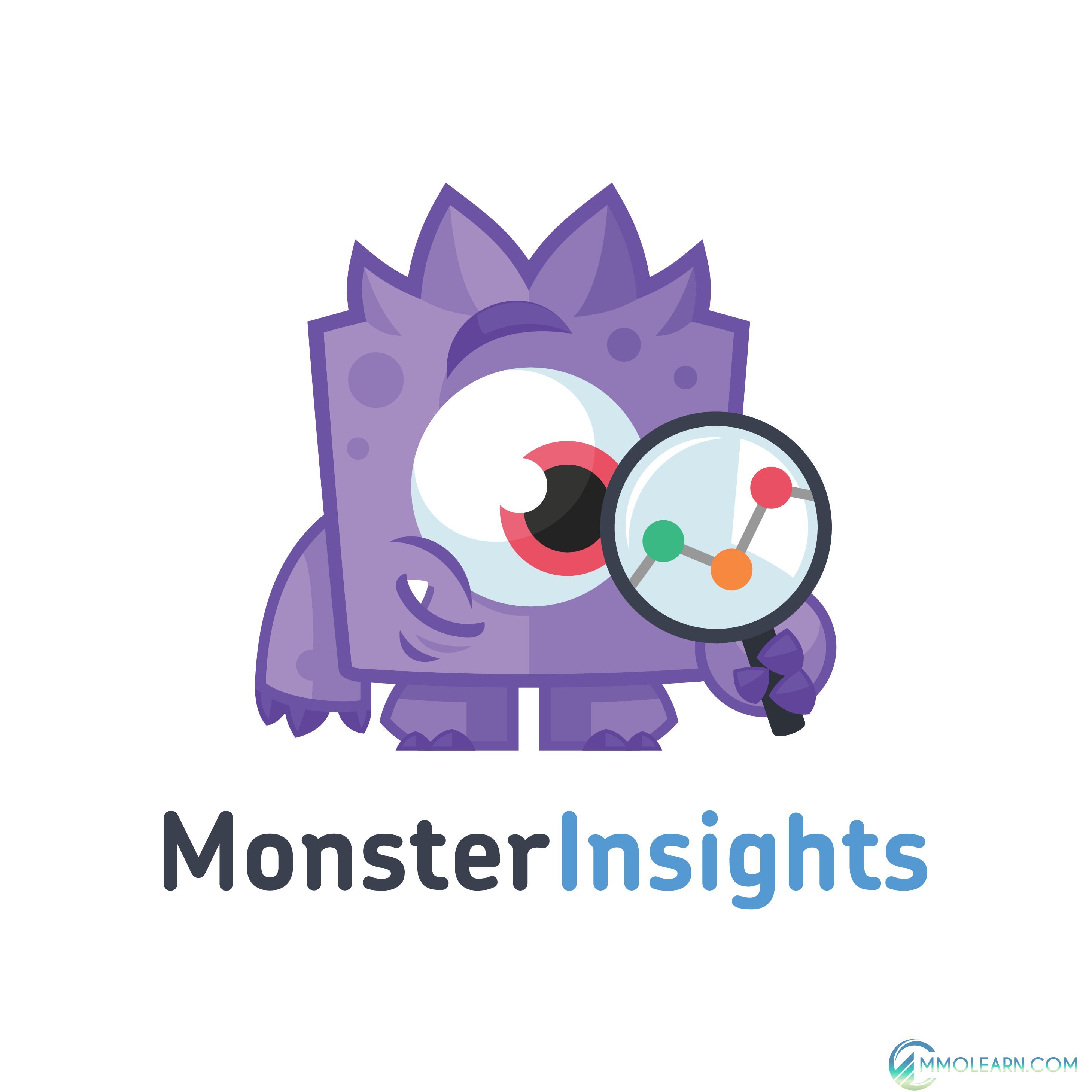 MONSTERINSIGHTS.jpg