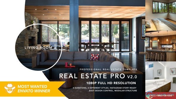 Real Estate Pro.jpg