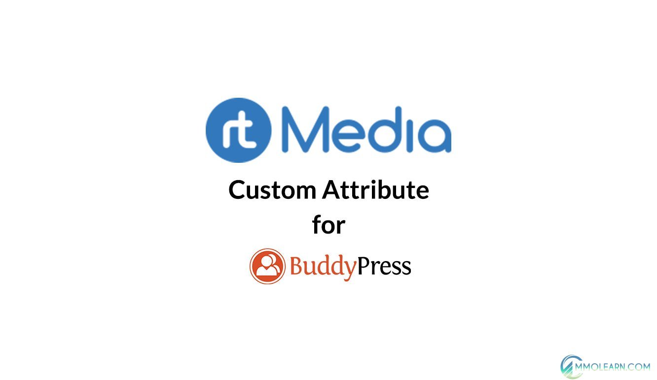 rtMedia Custom Attributes.jpg