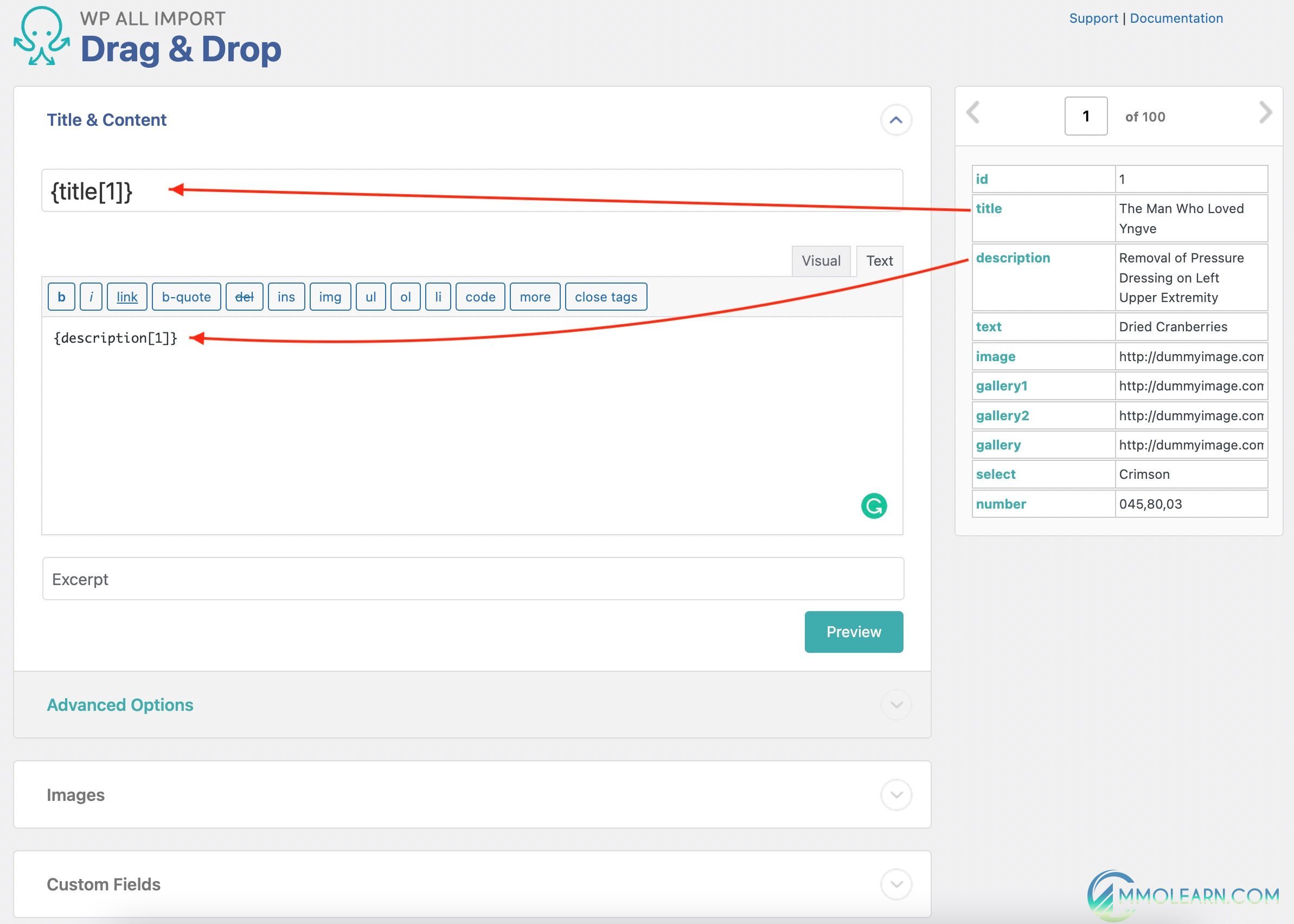 WP All Import - Advanced Custom Fields Add-On.jpg