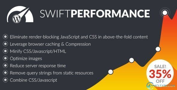 Swift Performance Premium.jpg