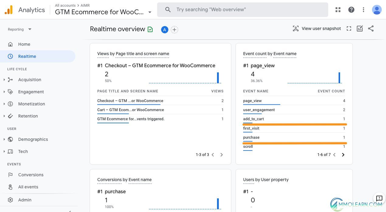 Google Tag Manager for WooCommerce PRO.jpg