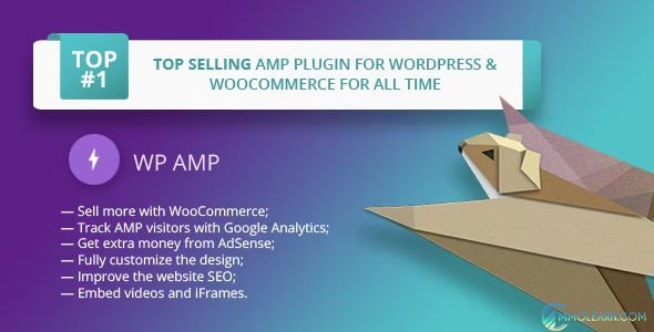 WP AMP Accelerated Mobile Pages.jpg