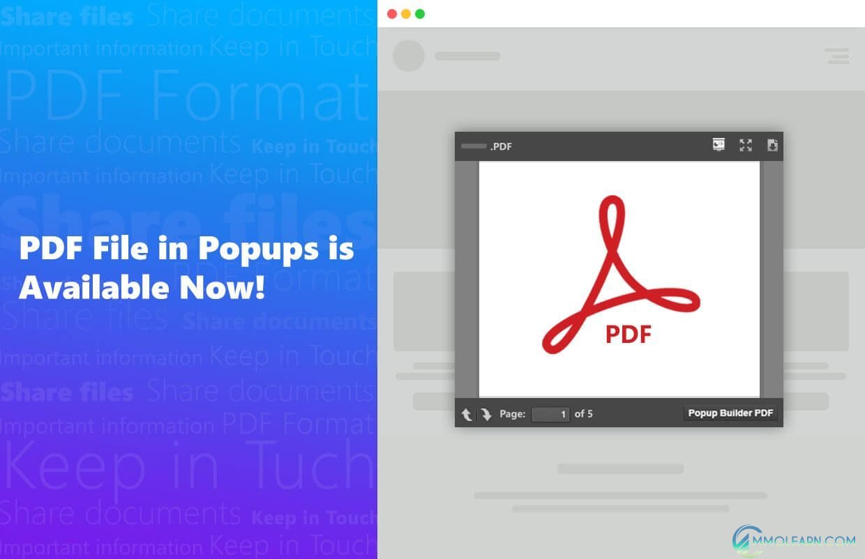 Popup Builder PDF.jpg