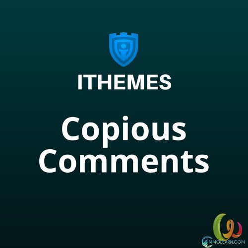 iThemes DisplayBuddy Copious Comments.jpg