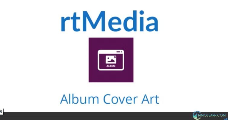 rtMedia Album Cover Art.jpg