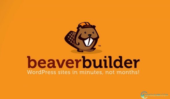 ColbaltApps Beaver Extender.jpg