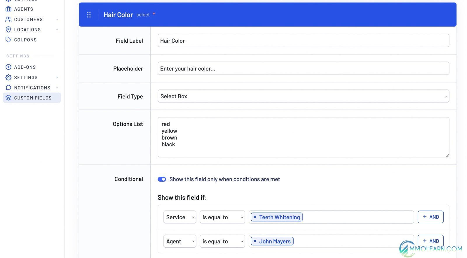 LatePoint Custom Fields Addon.jpg