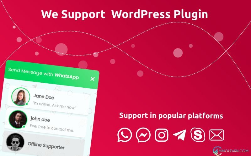 We Support WordPress Plugin.jpg