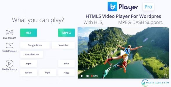 bzplayer Pro - Live Streaming Player WordPress Plugin.jpg