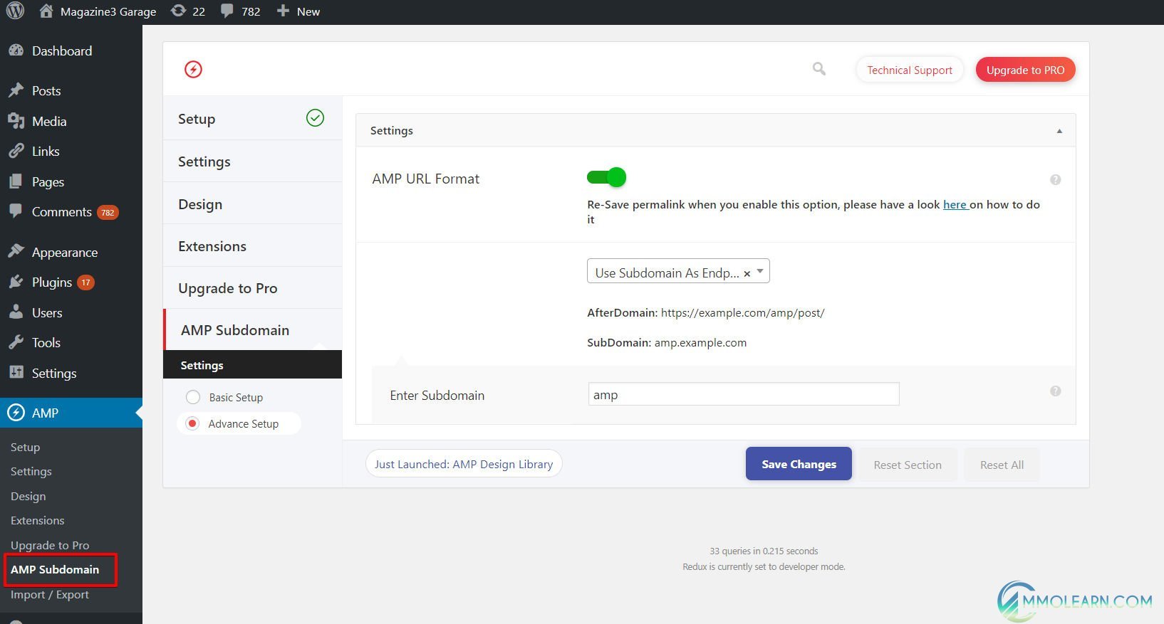 Subdomain Endpoints for AMP.jpg