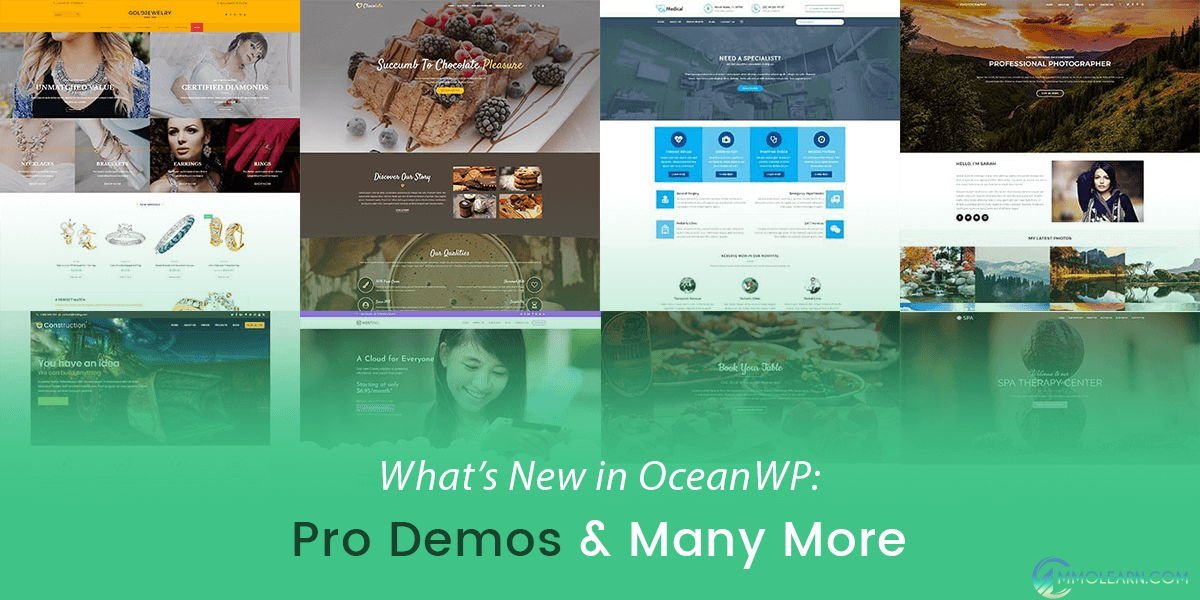 OceanWP Pro Demos.jpg