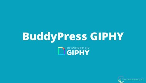 BuddyPress Giphy.jpg