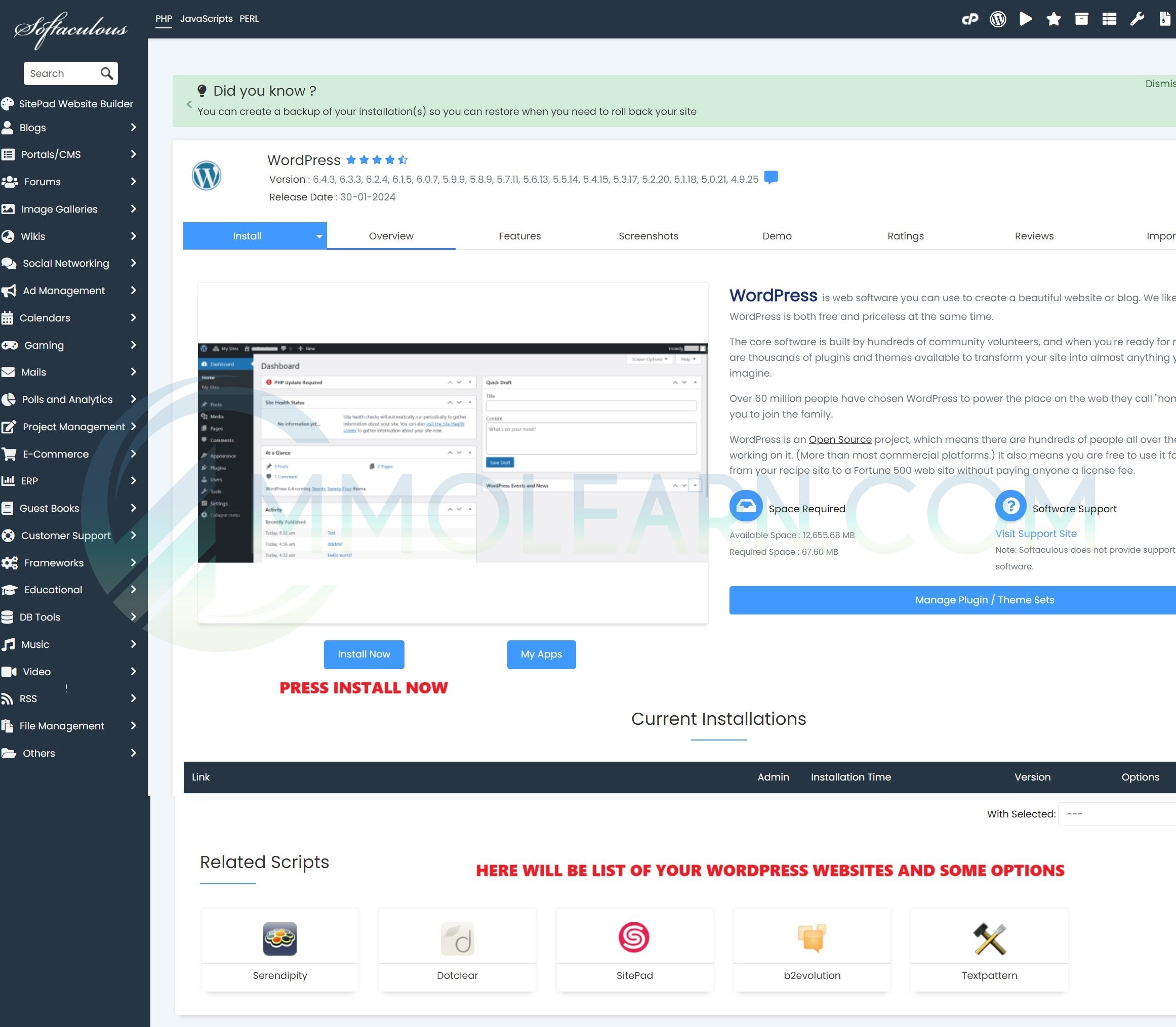 wordpress 2.jpg