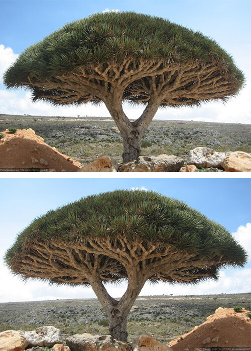 image 2.jpg image 2.jpg