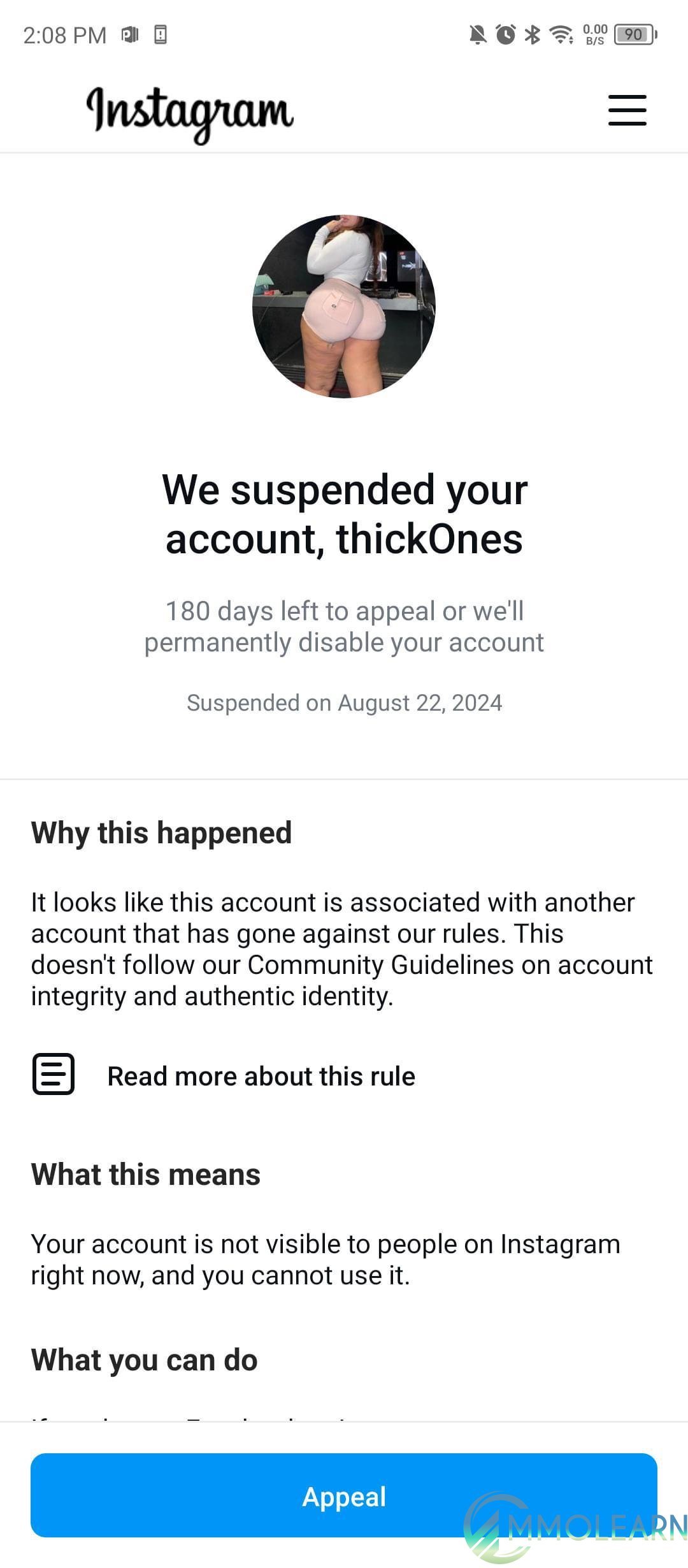 image 2.jpeg