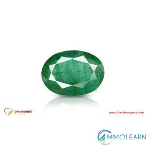 emp00017-1t.jpg